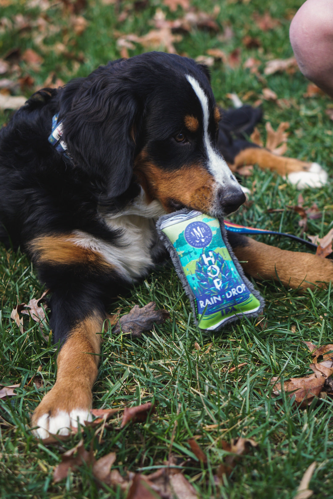 Hop Rain Drop X Cycle Dog Can Chew Toy